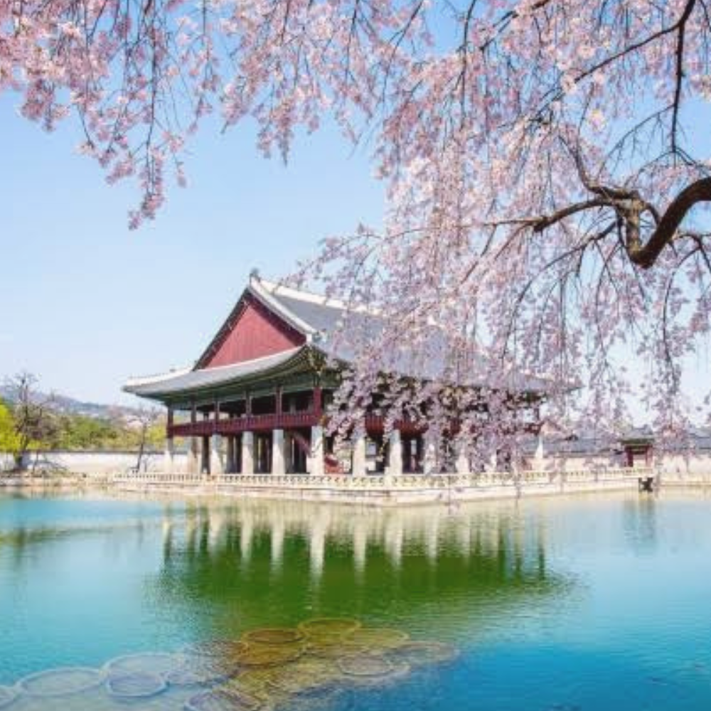 Featured Image - Summer Activities to Look Forward to in Korea