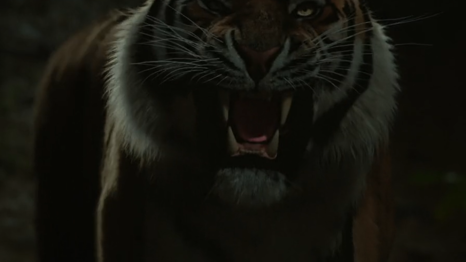 Divorce Insurance tiger