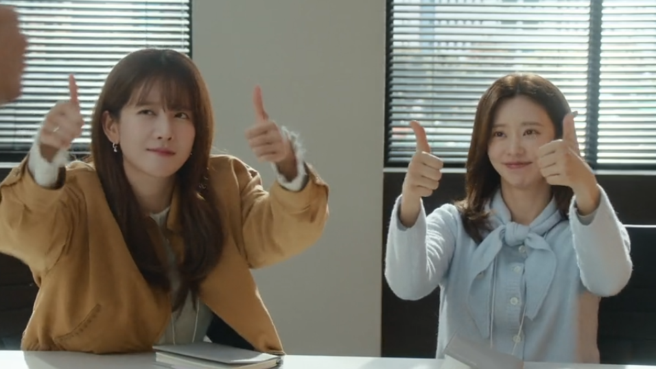 The Divorce Insurance team