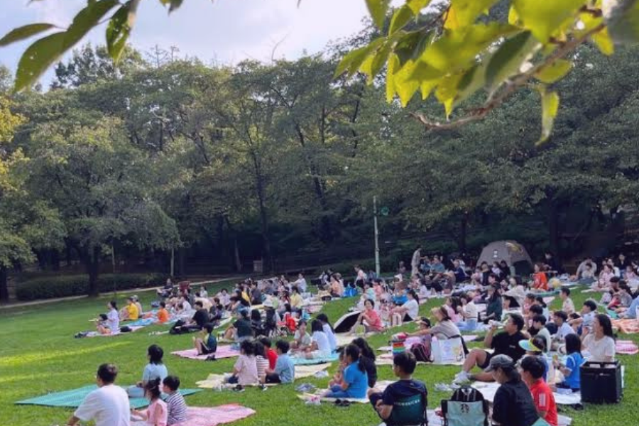 The Seoul Park Music Festival