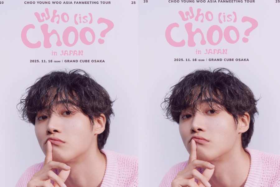 Choo Young Woo fan meeting