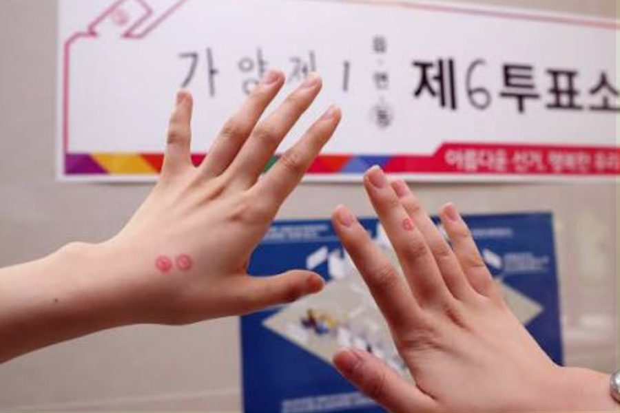Election In Korea