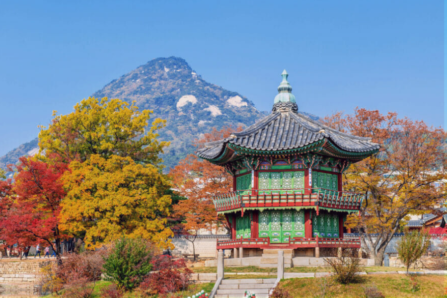 adventures in Korea