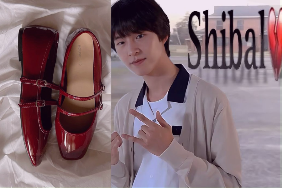 shibal in Korean
