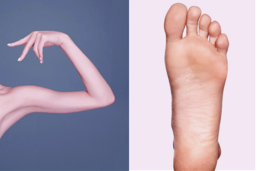 saying arm and foot in Korean
