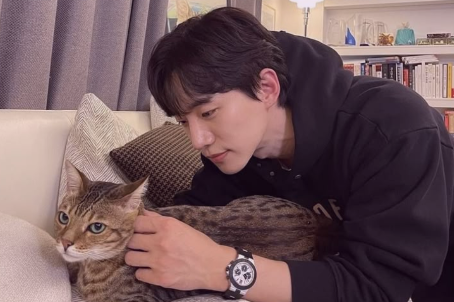 Lee Jun Ho Spotlight