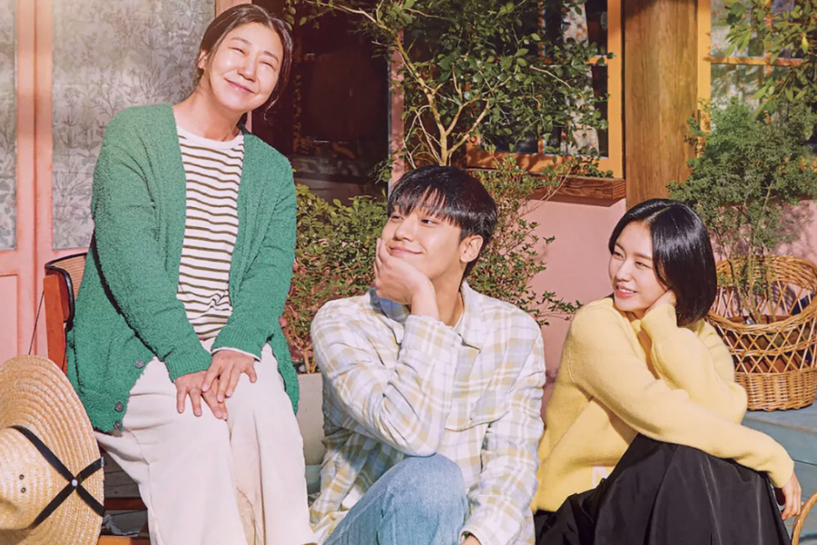 Kdramas To Watch the good bad mother